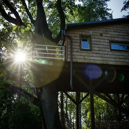 Strazdu Ligzda Off Grid Treehouse *