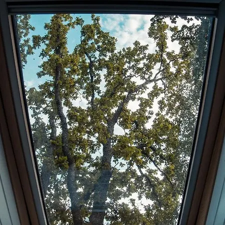 Holiday home Strazdu Ligzda Off Grid Treehouse