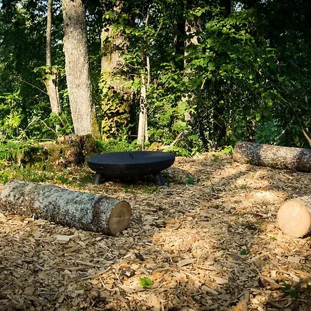Strazdu Ligzda Off Grid Treehouse Holiday home *